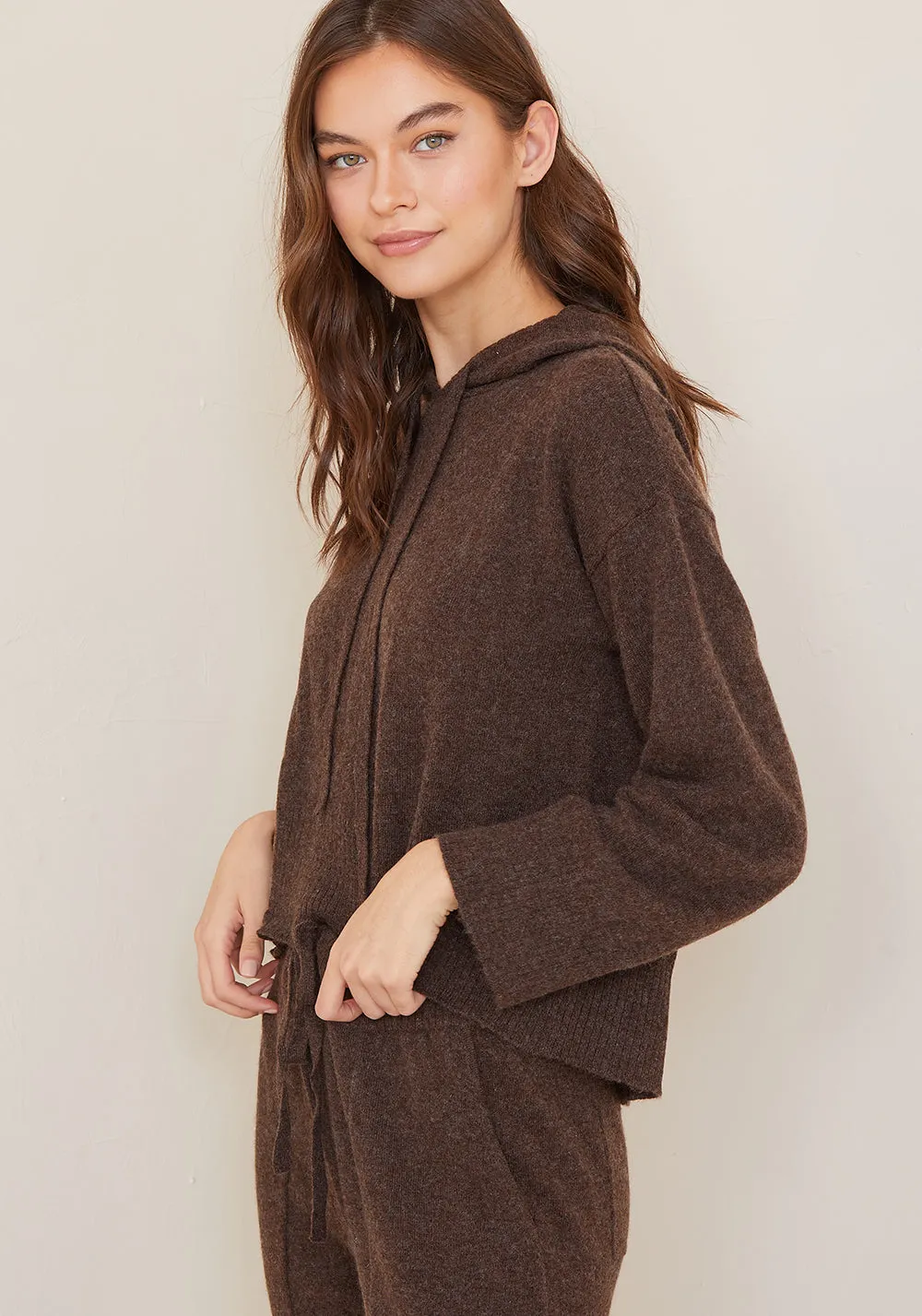 Bella Dahl - Sweater Hoodie in Heather Chocolate