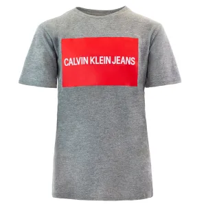 Calvin Klein Boys' Institution Logo Crew Neck T-Shirt
